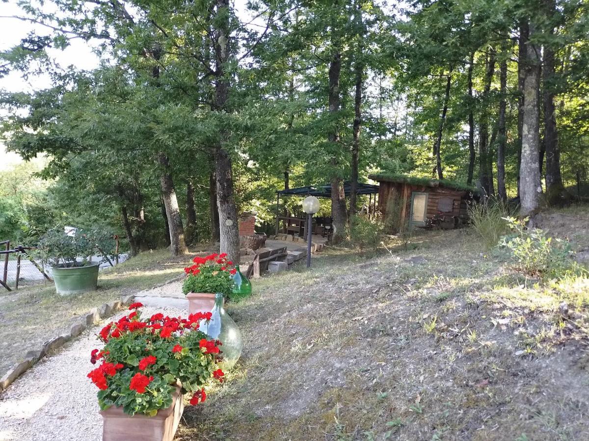 Affittacamere La Casa di Alma Roncobillaccio Esterno foto